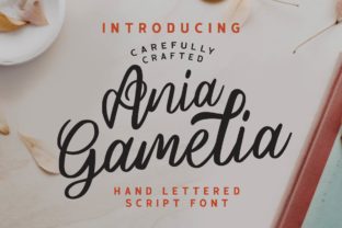 Discover Ania Gamelia: A Charming Handwritten Font