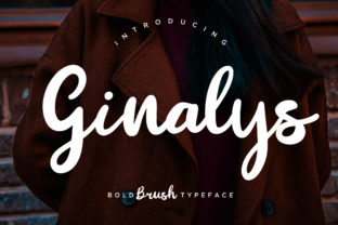 Discover the Charm of Ginalys: A Bold Script for Makers