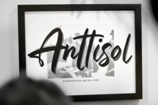 Enhance Your Brand with Anttisol: A Bold and Funky Font