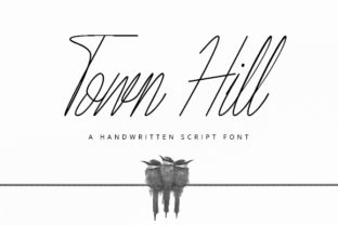 Explore Town Hill: A Charming Script for Standout Branding