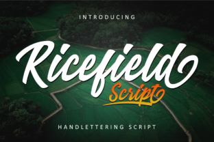 Ricefield: A Vintage Script Font for Standout Branding