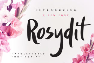Unlock Creativity with Rosydit: A Sweet and Fun Script Font